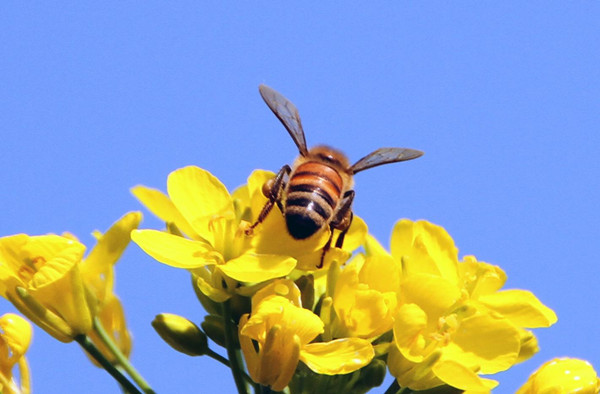 长春哪里看过敏性皮炎比较好