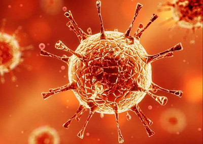 ��Щ�������շ�Ƥ����