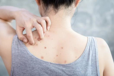 ë������ʲôԭ������ģ�����ô����