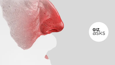 ��Ы��ҩ�������õ�����