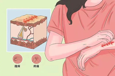 �̺۸������ƣ���һֱ����ȥ��